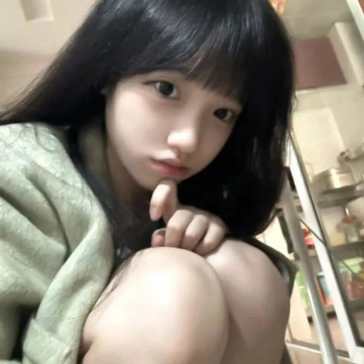 木材宝藏狗